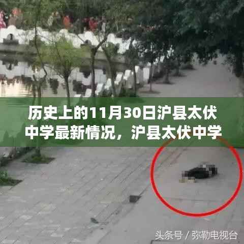 教程参考 第613页