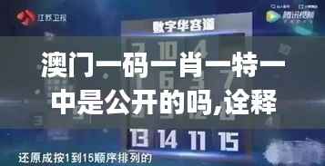 澳门一码一肖一特一中是公开的吗,诠释说明解析_N版2.704