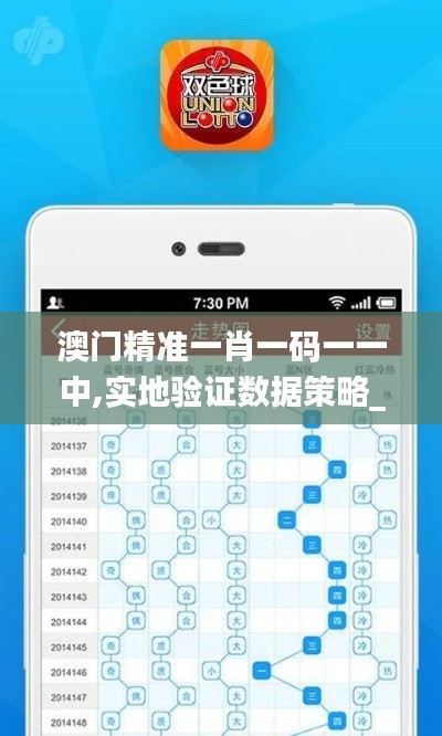 澳门精准一肖一码一一中,实地验证数据策略_经典款7.327