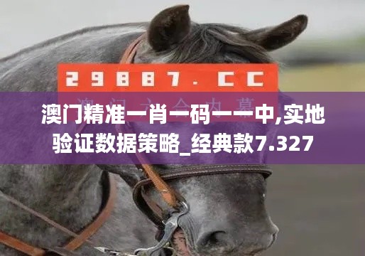 澳门精准一肖一码一一中,实地验证数据策略_经典款7.327
