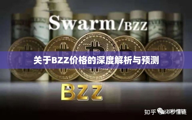 关于BZZ价格的深度解析与预测