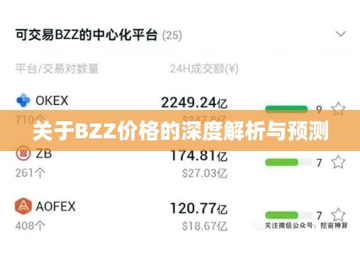 关于BZZ价格的深度解析与预测