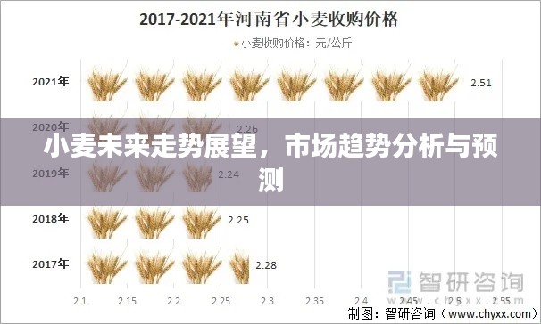 小麦未来走势展望,市场趋势分析与预测