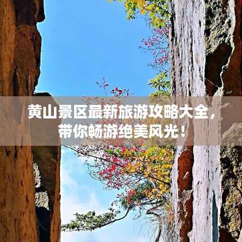 黄山景区最新旅游攻略大全,带你畅游绝美风光!
