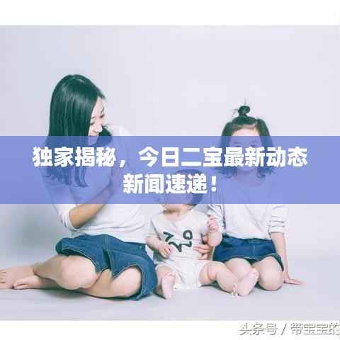 独家揭秘,今日二宝最新动态新闻速递!