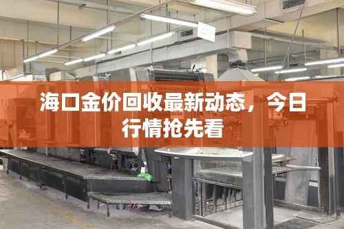 海口金价回收最新动态,今日行情抢先看