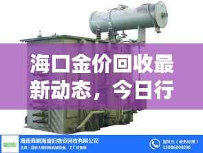海口金价回收最新动态,今日行情抢先看