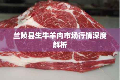 兰陵县生牛羊肉市场行情深度解析