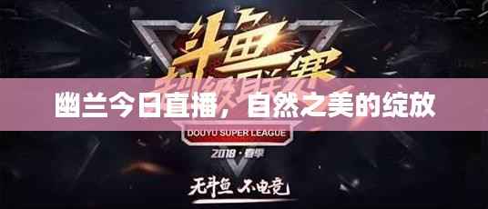 幽兰今日直播,自然之美的绽放