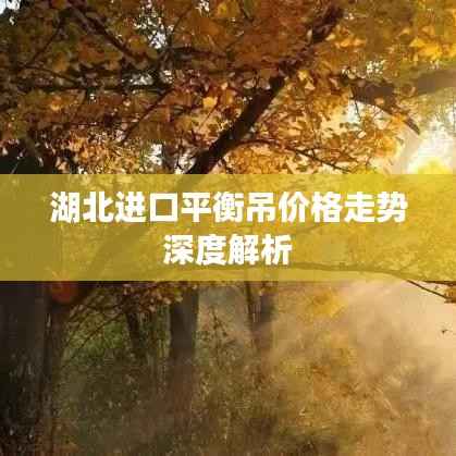湖北进口平衡吊价格走势深度解析